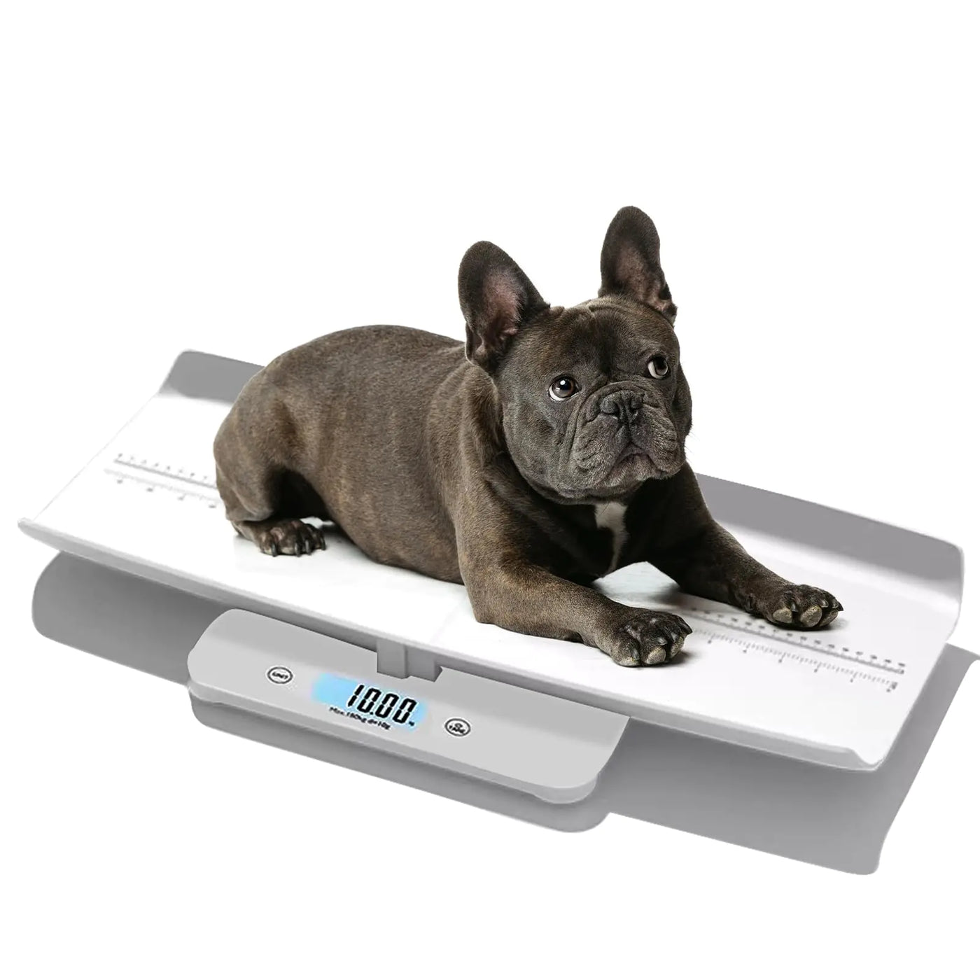 Helsevesen Small Breed Veterinary Scale Dog Scale Tempered Glass Platform，Digital Pet Scales，Ideal for Families and Veterinary Offices 3 in 1 Baby Weight Scale Adult Scale Infant Scale IFS-180